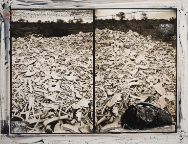 View full screen - View 1 of Lot 905. Elephant bones at Sala gate, Galana (Tsavo die-off).