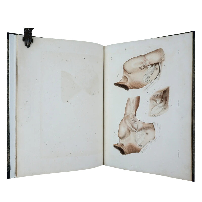 Cover image 0