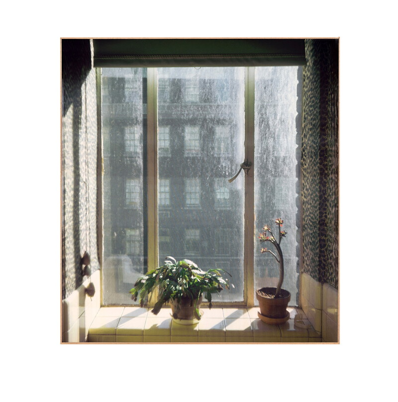 Cover image 0