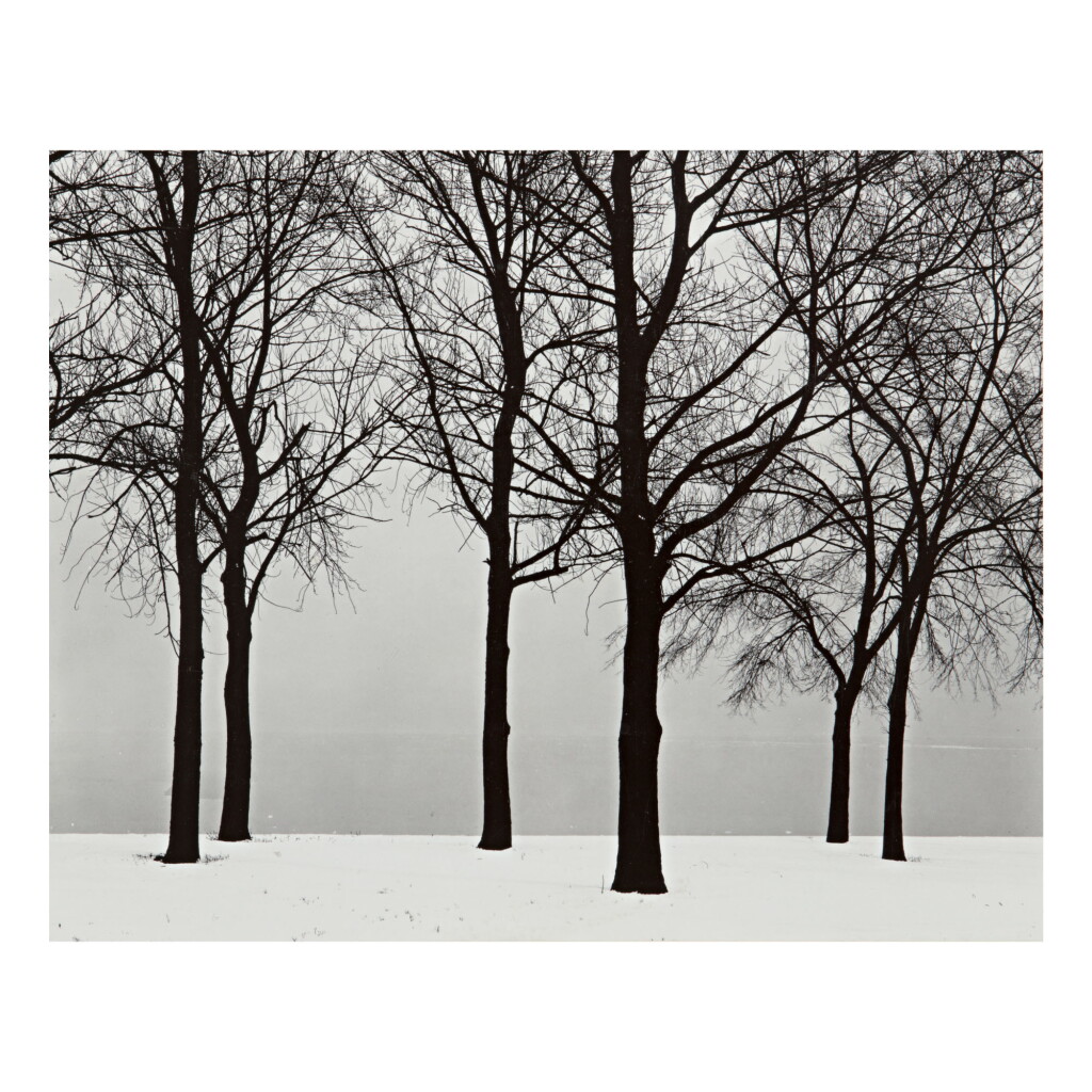 View full screen - View 1 of Lot 130. HARRY CALLAHAN | CHICAGO.
