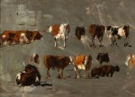 Étude de vaches