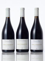 Vosne Romanée 2017 Domaine Bizot (4 BT)