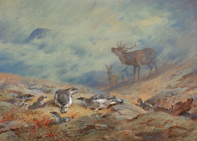 View full screen - View 1 of Lot 60. ARCHIBALD THORBURN | The Call of the Highland Monarch, Red Deer and Ptarmigan in Summer Plumage.