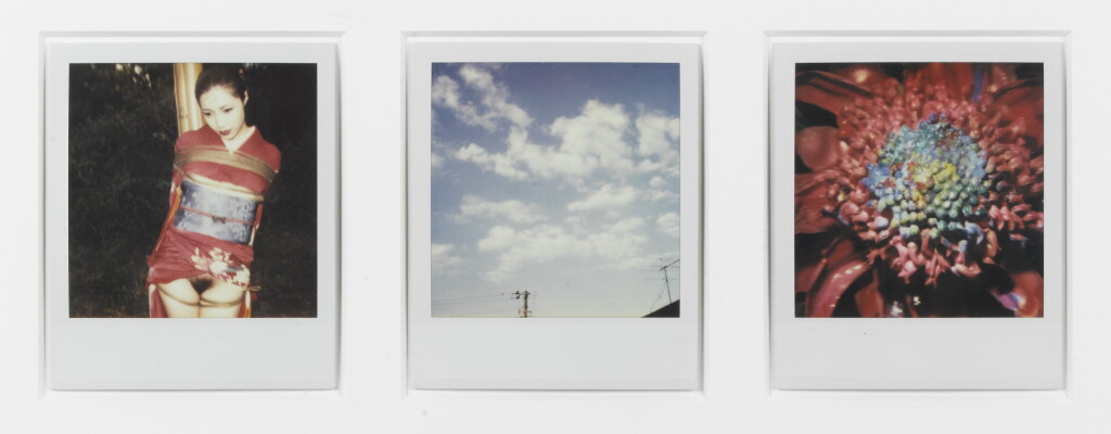 View full screen - View 1 of Lot 7. Nobuyoshi Araki | Untitled (from the series: Polanographs), 2003-2004.