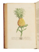 Hughes, Griffith | One of the most important early botanical treatises on Barbados