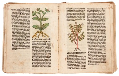 View full screen - View 1 of Lot 36. GART DER GESUNDHEIT | Augsburg, 1487, coloured woodcuts, later boards.