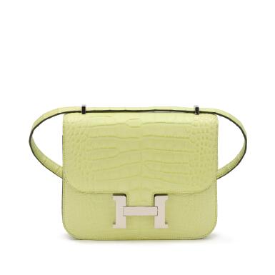 View full screen - View 1 of Lot 9. Jaune Bourgeon Matte Alligator Mini Constance 18 Palladium Hardware, 2021.