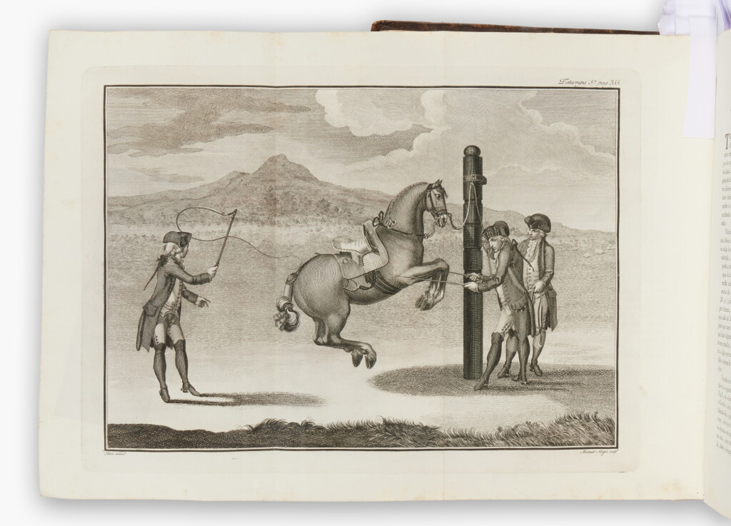 View full screen - View 1 of Lot 303. Andrade, Manoel Carlos de | The most important Portuguese book on equestrianism.