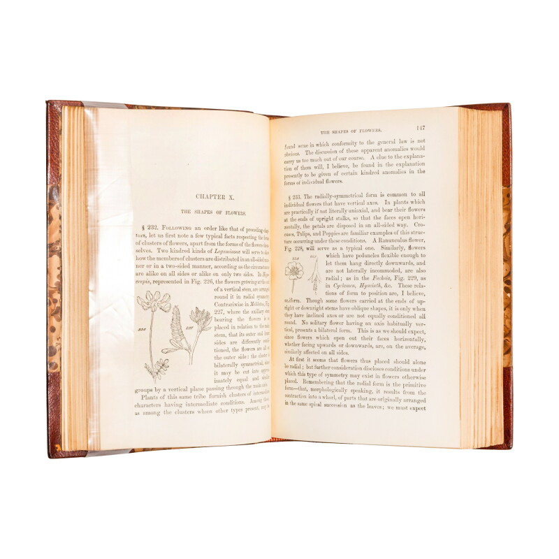 Cover image 0