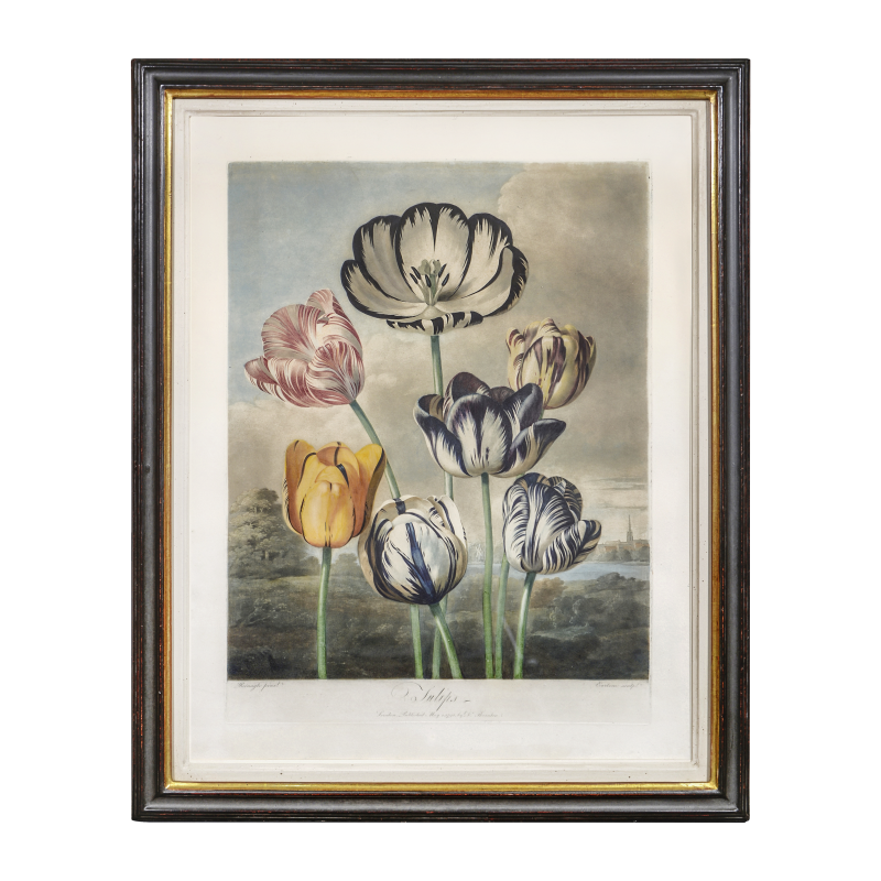Cover image 0