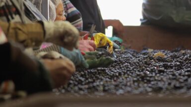 View full screen - View 1 of Lot 103. Nuits St. Georges, Au Bas de Combe 2014 Domaine Leroy (3 BT).