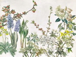 Léonard Tsuguharu Foujita 藤田嗣治 | Fleurs 花卉