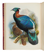 Elliot, Daniel Giraud | "the same rank as Audubon and Edward Lear as a bird-painter"