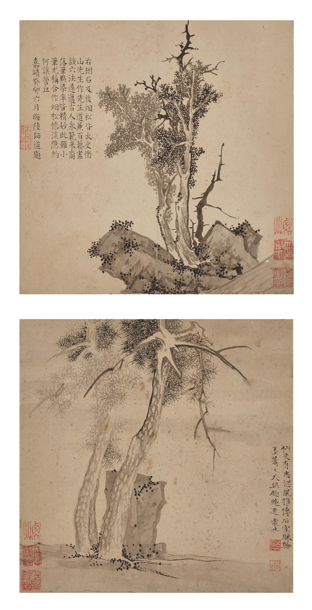 View full screen - View 1 of Lot 2524. Wen Zhengming 1470-1559 文徵明 | Pine and Cypress 松柏樹石.