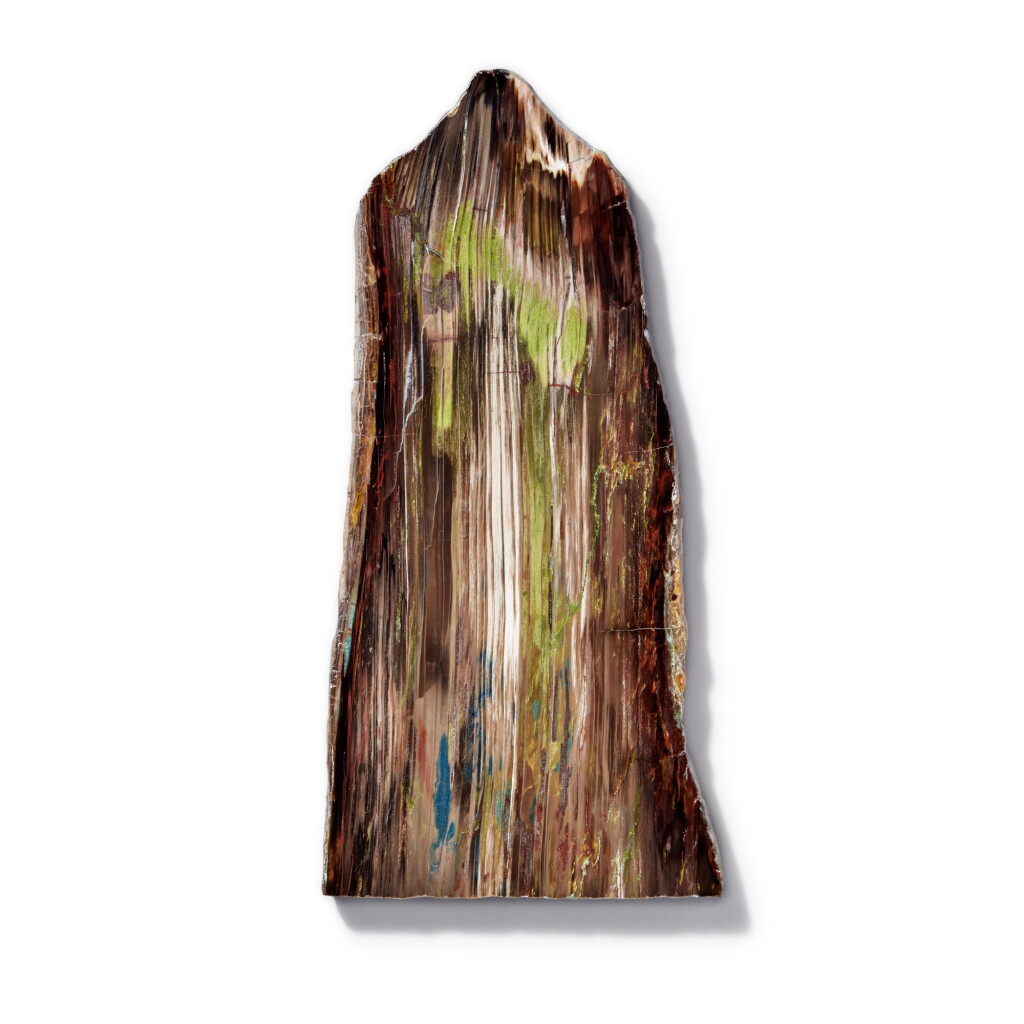 View full screen - View 1 of Lot 44. Petrified Slice of Colla Wood.