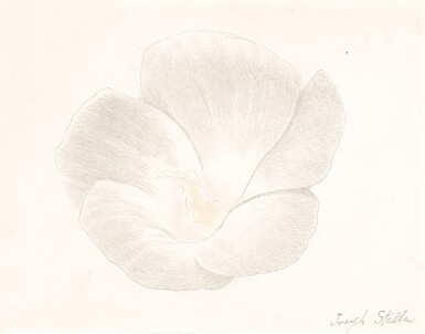 View full screen - View 1 of Lot 638. White Flower.