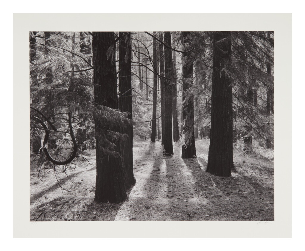 View full screen - View 1 of Lot 60. ANSEL ADAMS | YOSEMITE AND THE RANGE OF LIGHT.