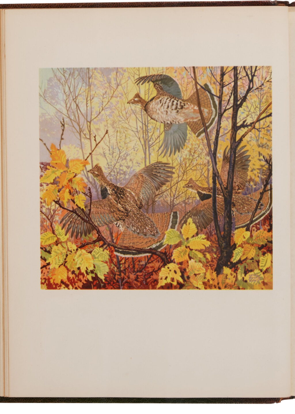 View full screen - View 1 of Lot 1035. Hunt, Lynn Bogue | U.S. game birds, with an original watercolor.
