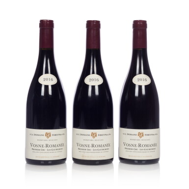 View full screen - View 1 of Lot 246. Vosne Romanée, Les Gaudichots 2016 Domaine Forey Père et Fils (12 BT).