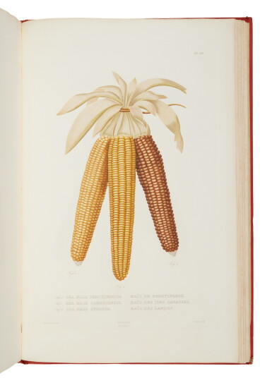View full screen - View 1 of Lot 7. Bonafous, Matthieu | The most authoritative reference on the cultivation of corn.