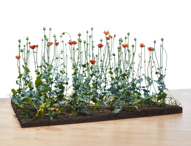 View full screen - View 1 of Lot 888. Crop (Poppy Field).