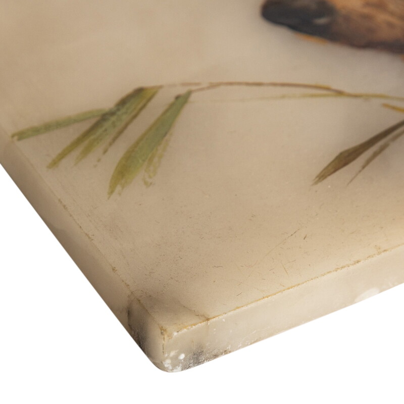 Cover image 0