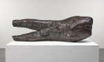 Torso