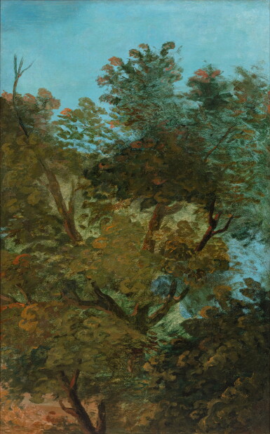Ciel entre les arbres