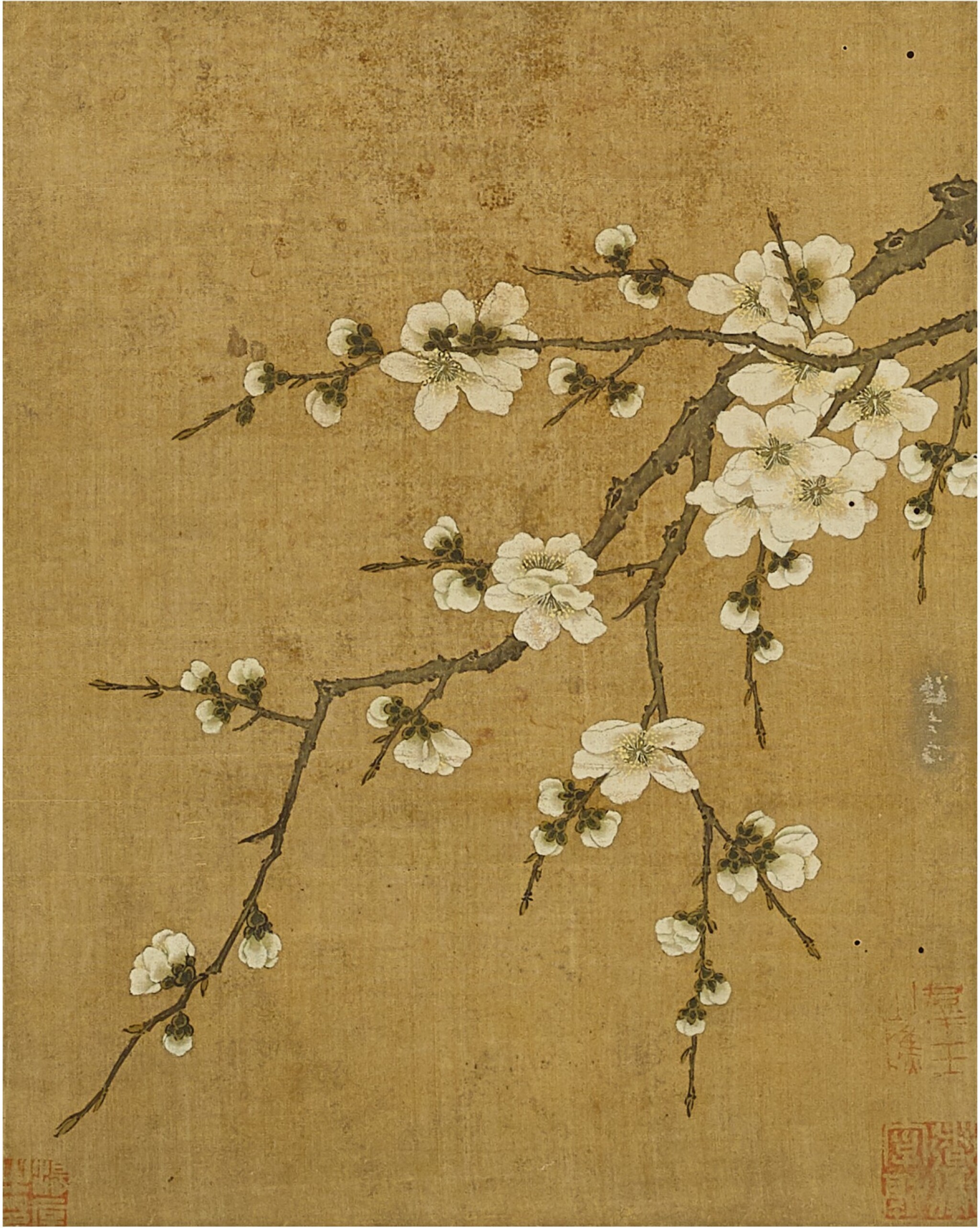 Anonymous Previously Attributed To Zhao Chang 佚名 前傳趙昌 Plum Blossom 林檎花 Fine Classical Chinese Paintings Sotheby S Anonymous Previously Attributed To Zhao Chang 佚名 前傳趙昌 Plum Blossom 林檎花 Fine Classical Chinese Paintings Sotheby S