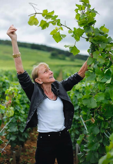 View full screen - View 1 of Lot 1335. Corton, Les Renardes 2011 Domaine Leroy (1 BT).