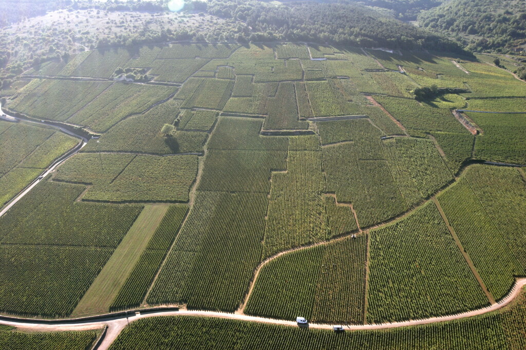 View full screen - View 1 of Lot 6088. Bouchard Père et Fils Meursault, Les Genevrières 2017 & 2020 (12 BT).