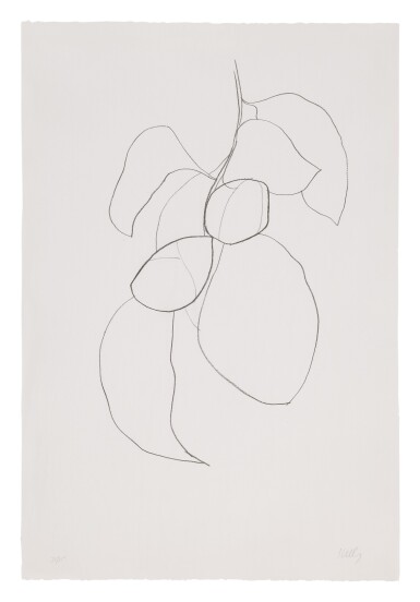View full screen - View 1 of Lot 6. ELLSWORTH KELLY | CAMELLIA III (AXSOM 43).