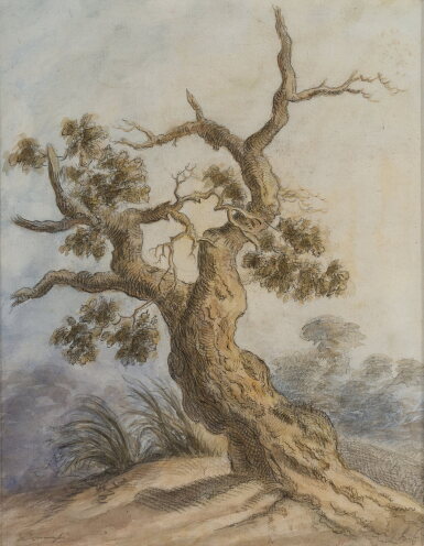 View full screen - View 1 of Lot 766. A Tree.