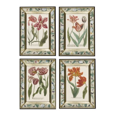 View full screen - View 1 of Lot 77. A SET OF SIXTEEN GERMAN HAND-COLOURED ENGRAVINGS OF TULIPS BY JOHANN WILHELM WEINMANN (1683-1741) FROM PHYTANTHOZA ICONOGRAPHIA, REGENSBURG, CIRCA 1740.