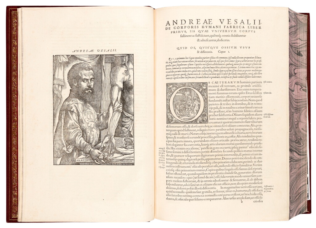 View full screen - View 1 of Lot 55. Vesalius | De humani corporis fabrica, Basel, 1555, modern crushed burgundy morocco.