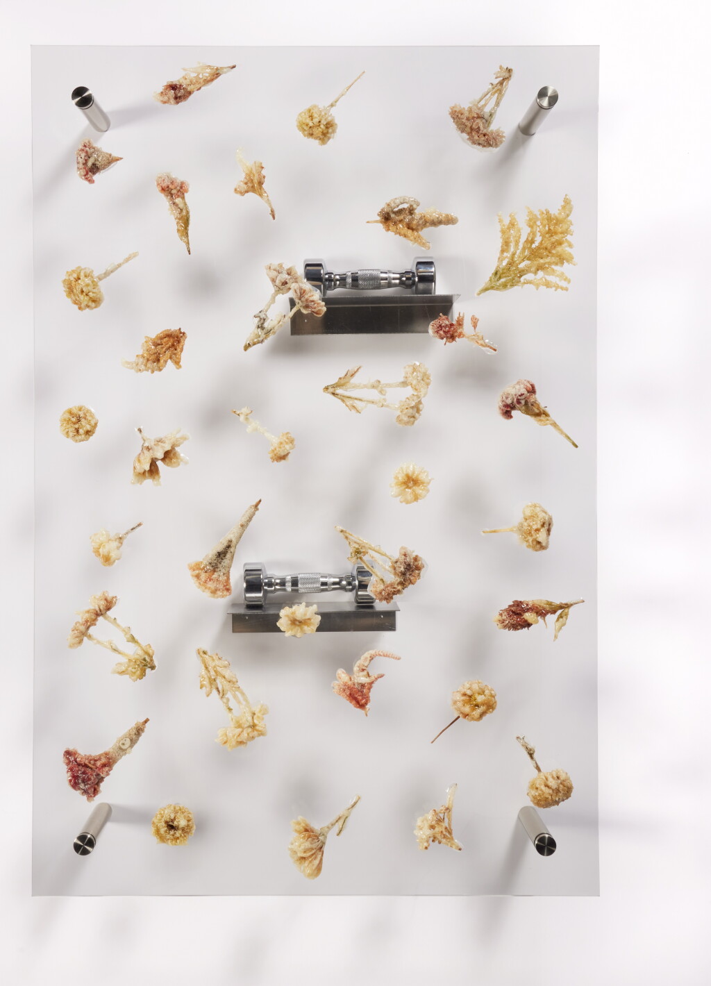 View full screen - View 1 of Lot 504. Mid Classical II.
