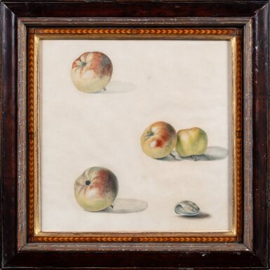 View full screen - View 1 of Lot 308. Still life with apples and shells.