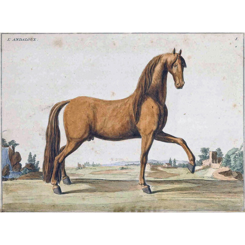 Cover image 0