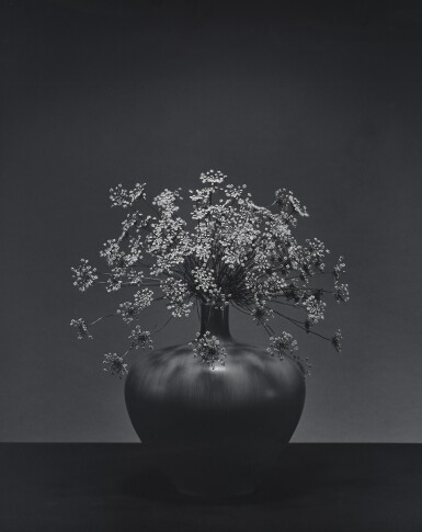 View full screen - View 1 of Lot 68. Queen Anne's Lace.