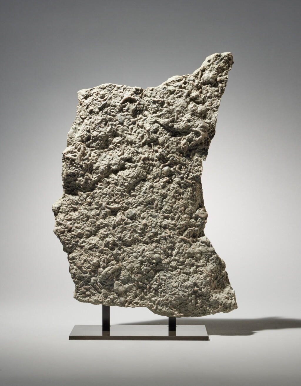View full screen - View 1 of Lot 3. Much Wenlock Limestone Fossil Plaque.