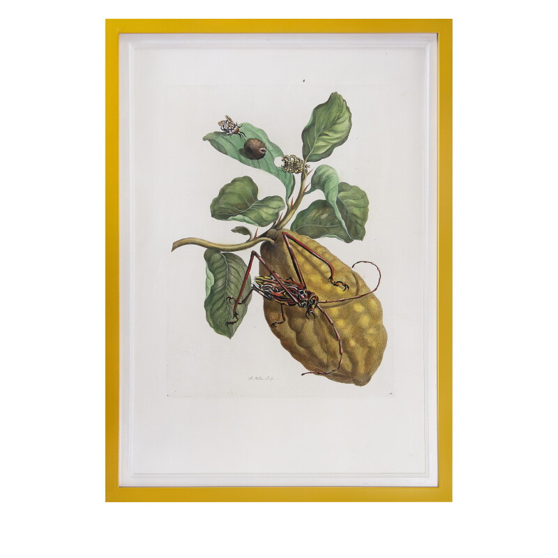 Cover image 0