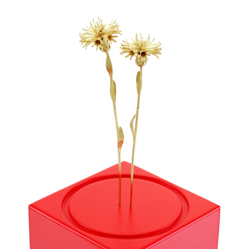 Cover image 0