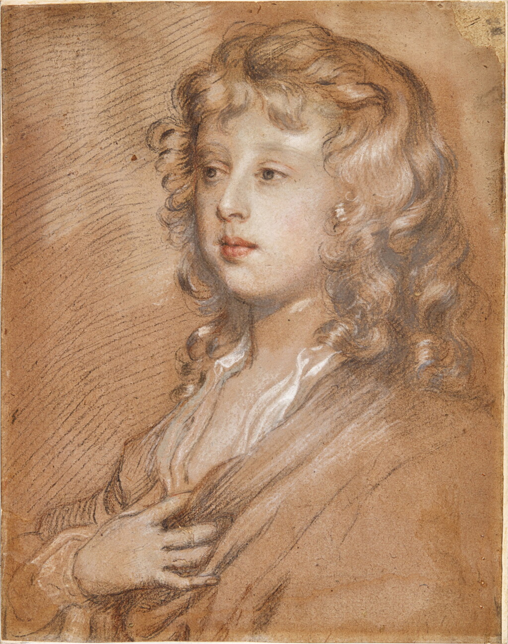 全螢幕檢視 - 查看5Portrait of a young boy的1