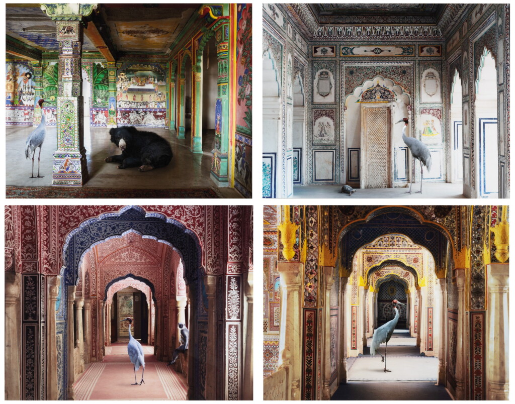 View full screen - View 1 of Lot 240. I: Holding of Vigilance, Samode Palace 5 (from the series India Song, 2008 – 2013) II: Avatars of Devi, Zanana, Samode Palace (from the series India Song, 2008 – 2013) III: Hanuman’s Mentor, June Mahal, Dungarpur (from the series India Song, 2008 – 2013) IV: Amrita’s Message, Nagaur Fort, Nagaur (from the series India Song, 2008 – 2013).