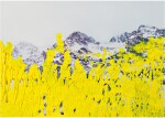 GERHARD RICHTER | 20.5.92