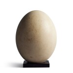 Unhatched Egg of an Aepyornis Maximus, or Elephant Bird