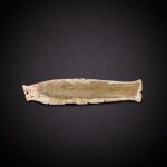 A pale celadon jade 'fish' pendant, Western Zhou dynasty | 西周 青玉魚
