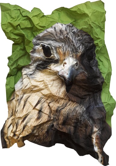 View full screen - View 1 of Lot 884. Marcus Coates 馬庫斯 · 科茨 | Ritual for Reconciliation: Kestrel (Falco Tinnunculus) England 和解儀式:紅隼 (Falco Tinnunculus) 英格蘭.