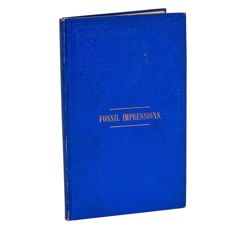 Cover image 0