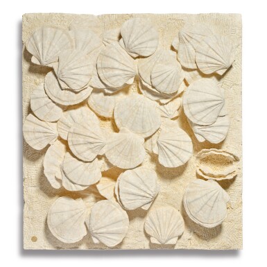 View full screen - View 1 of Lot 21. Mural of Giant Scallop Fossil Shells.